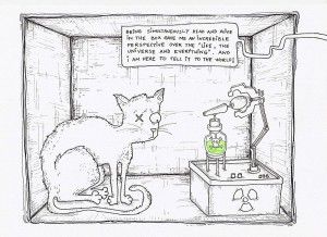 Schrodinger's Cat in a Box Experiment